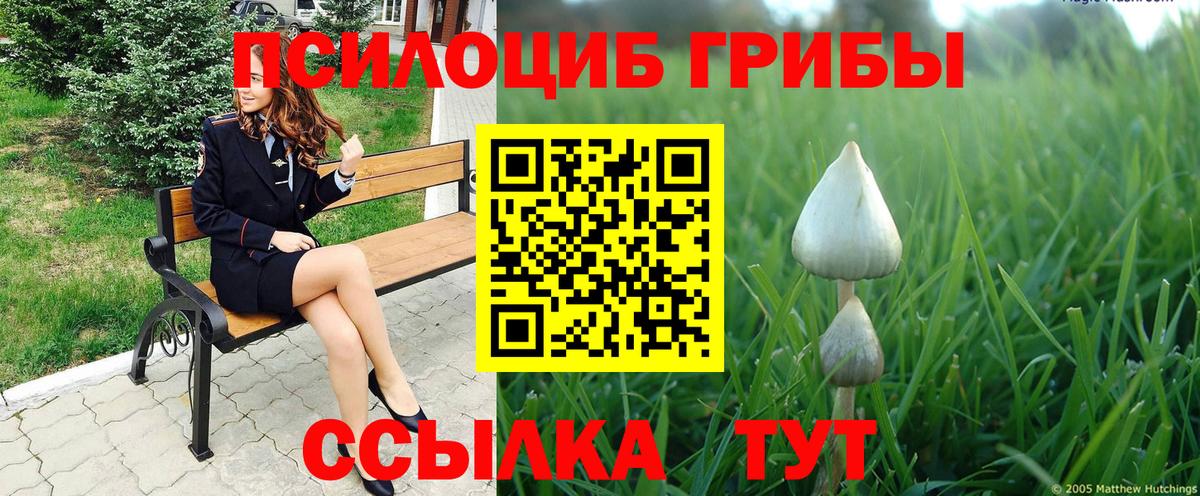Галлюциногенные грибы Cubensis Лениногорск