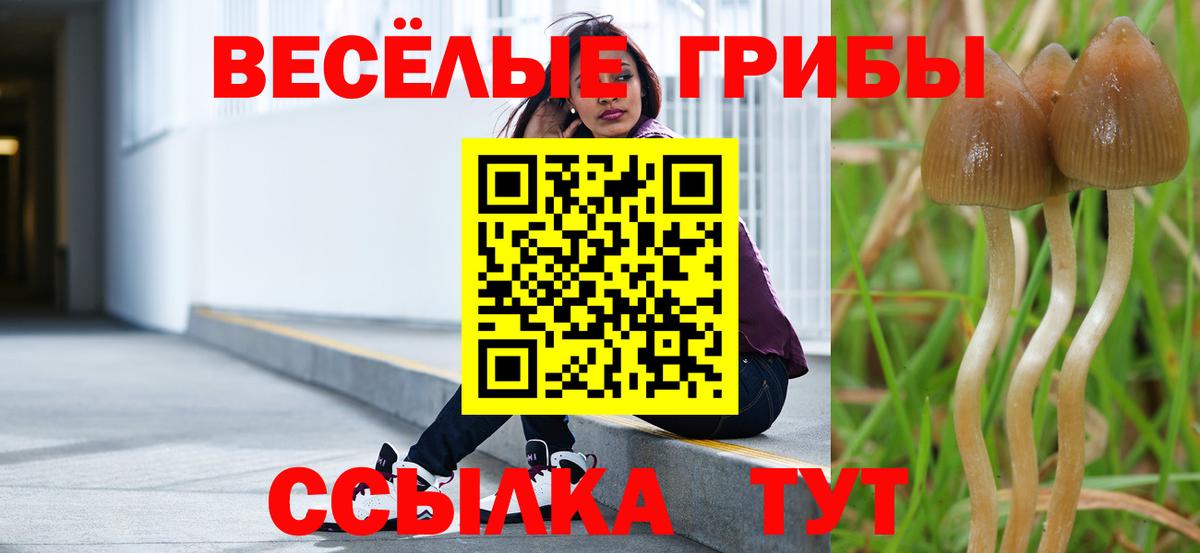 Галлюциногенные грибы Psilocybine cubensis  дарнет шоп  Лениногорск  Галлюциногенные грибы ЛСД  Вход с VPN 